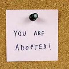 If you are a Social Worker who prepares Home Studies get in our nationwide data base to get referrals.
