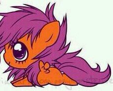 haii im scootaloo my friends are @mla_Sweet and mla_AppleBloom