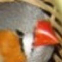 Anti-war, Libertarian, gentleman farmer, passionate about history, philosophy and birds. My YouTube Channel : https://t.co/eZE2h548fE
