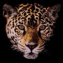 Christopher Roy - @CDR8977 - Twitter