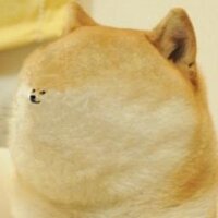 Trollglodita (@y5et55g) 's Twitter Profile