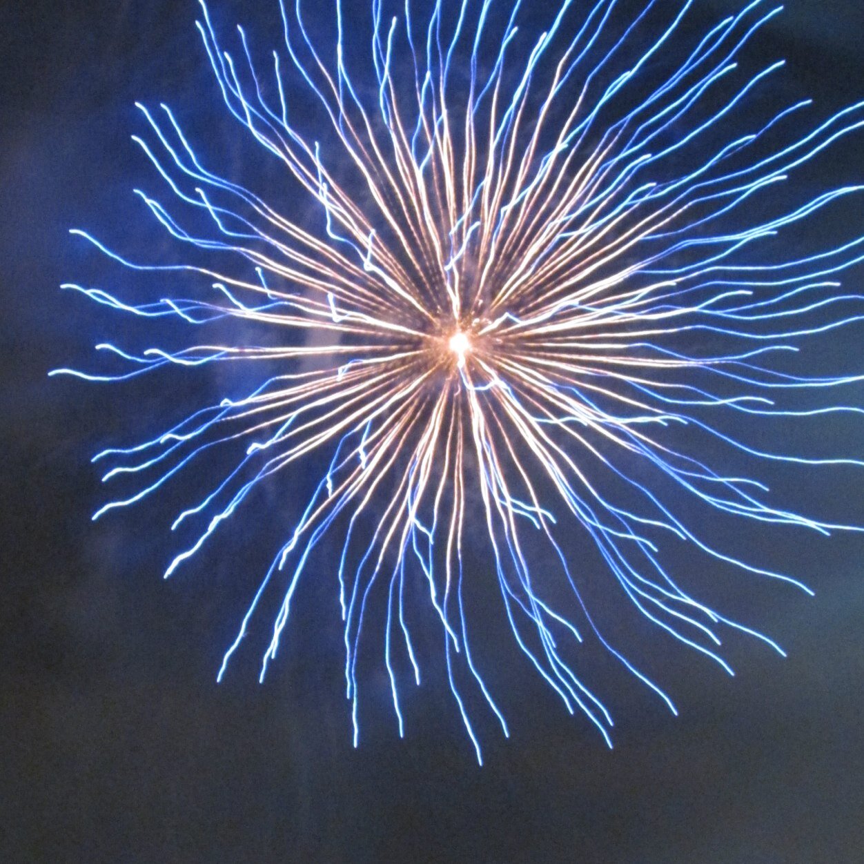 funfactsofday's profile picture. 