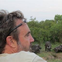 Living the African Safari Dream