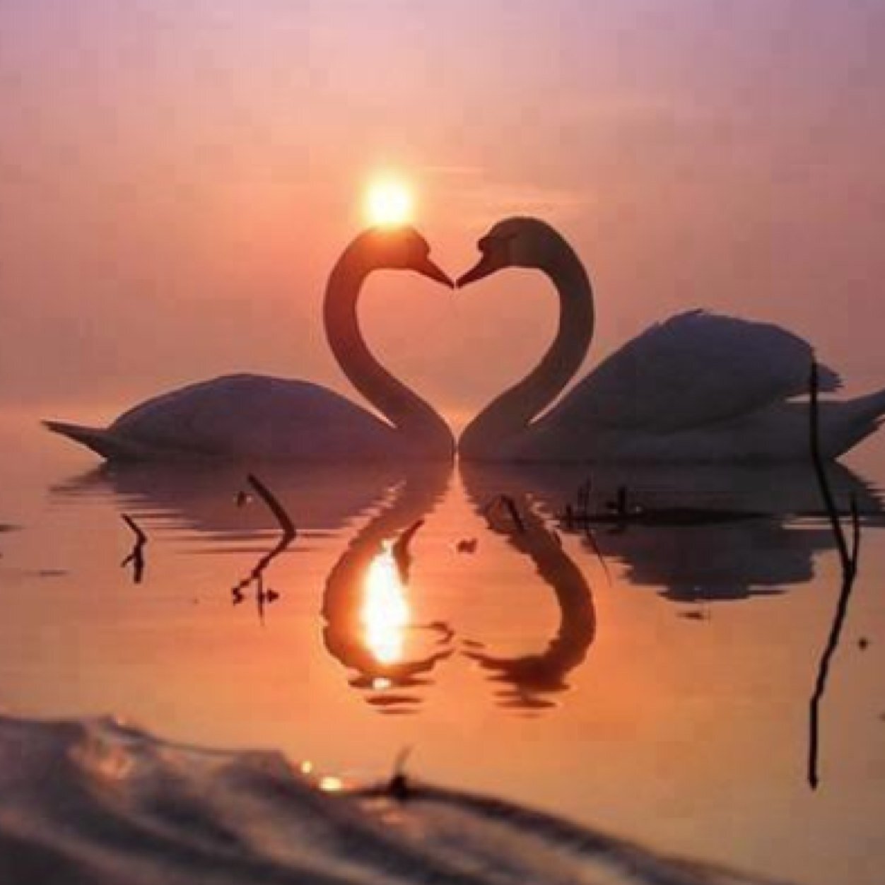 永遠の愛 Lovefor100 Twitter