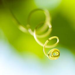 reflow_is's profile picture. 別府市青山町にあります整体サロンです☆ 1997年に開業。整体だけでなく、タイ式ボディケアなど癒しメニューもあり◎ お店の事やなんとなく思いついた事をつぶやいてます☆