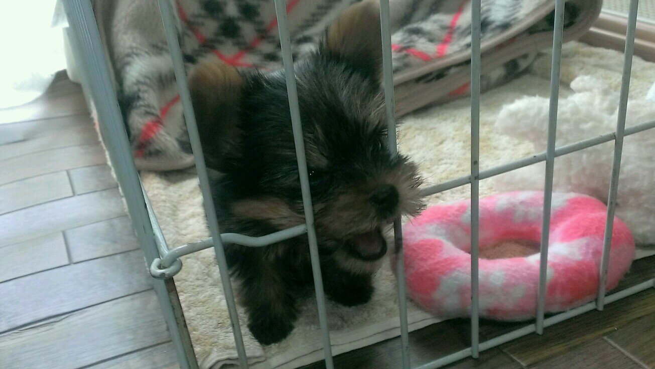 singman2010's profile picture. 