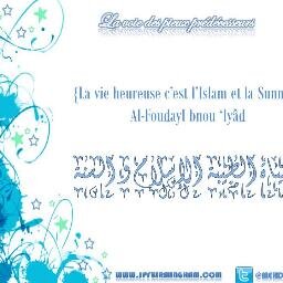 MehdiSunni's profile picture. 