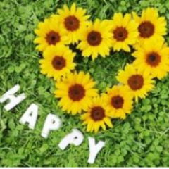 aisiteru365's profile picture. 