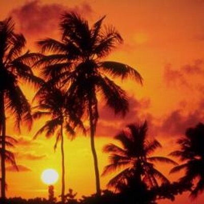 ハワイ２ホノルル Hawaii2honolulu Twitter