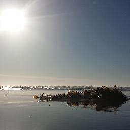 NaturallyWholeL's profile picture. Blog: Notes On Living Healthy & Happy, Naturally