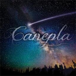 canepla's profile picture. A meta é a banca.