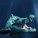 Amy Rowell - @amyrwll - Twitter