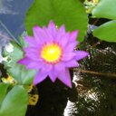 Lesley Dick - @lesleyd15 - Twitter