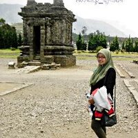 noor afidah (@lightlittle) 's Twitter Profile