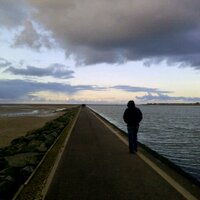 NorthernWanderer #FBPE (@nwanderer1) 's Twitter Profile