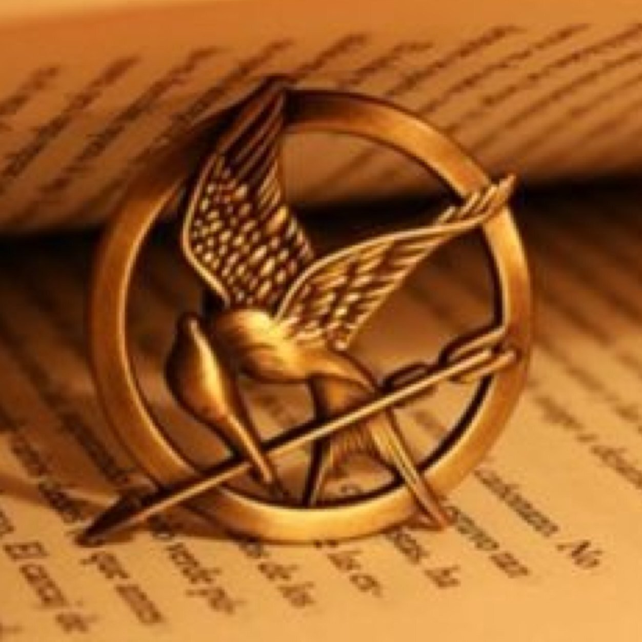 Multifandom ~ never judge a book by its movie-
