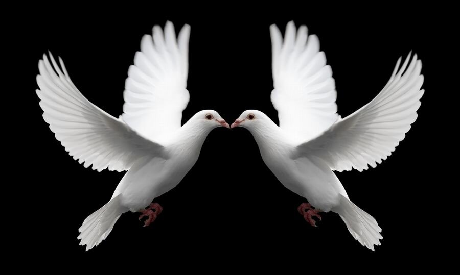I'M A VLSI ENGINEER AND HAVE THE DEVOTION OF CHRIST JESUS AND I LOVE MY COUNTRY.GOD BLESS THOSE WHO SEEK PEACE.AMEN.