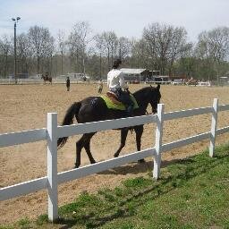 #Equestrian #Directioner #Mahomie #Lovatic