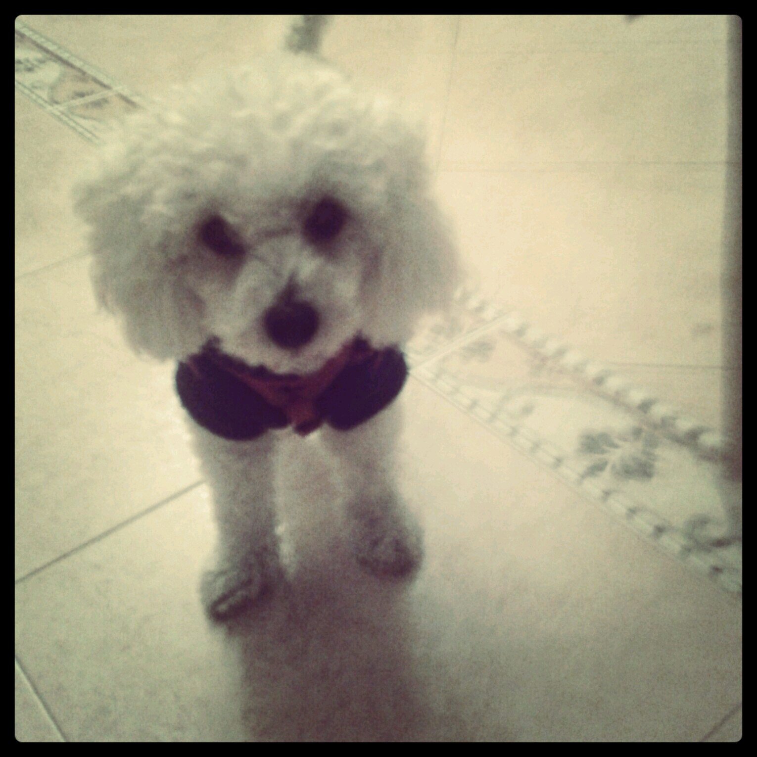 Dany8_Almeria's profile picture. Jugador del Carboneras.Mi pasión el futbol.9-4-2002,el dia en el que el mundo cambio.