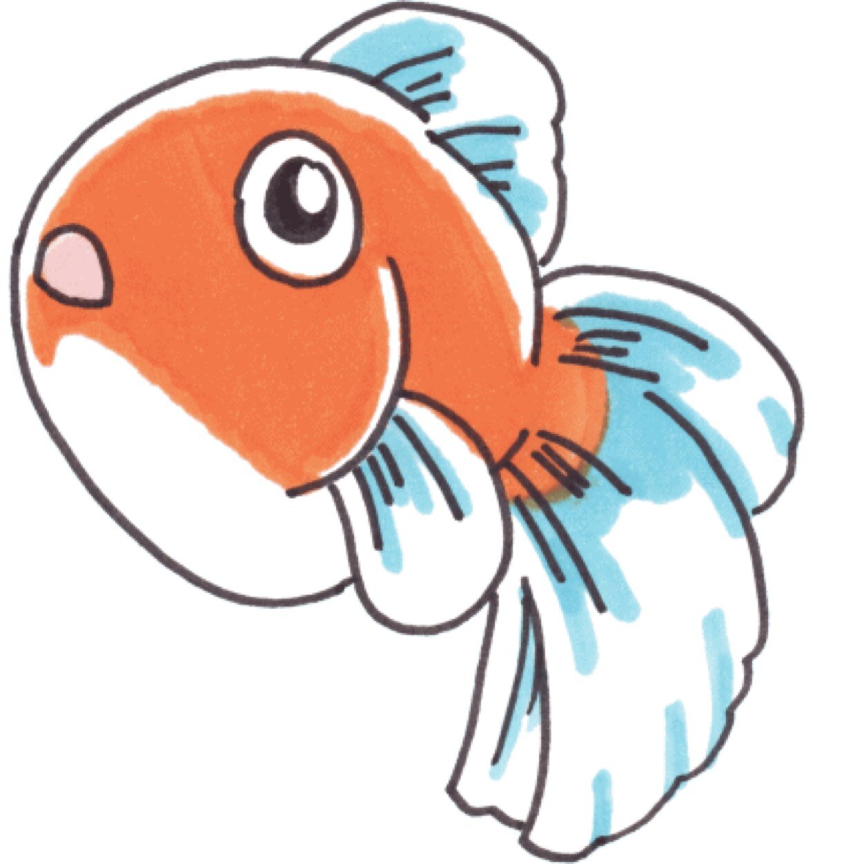 SHUNさんのプロフィール画像