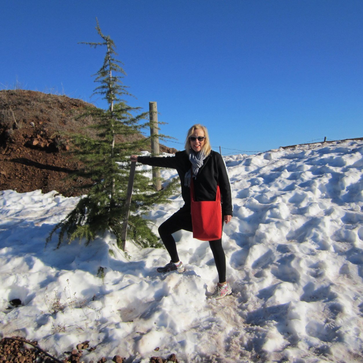 pzahl's profile picture. 