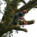 Ben Rowe - @benrowe14 - Twitter