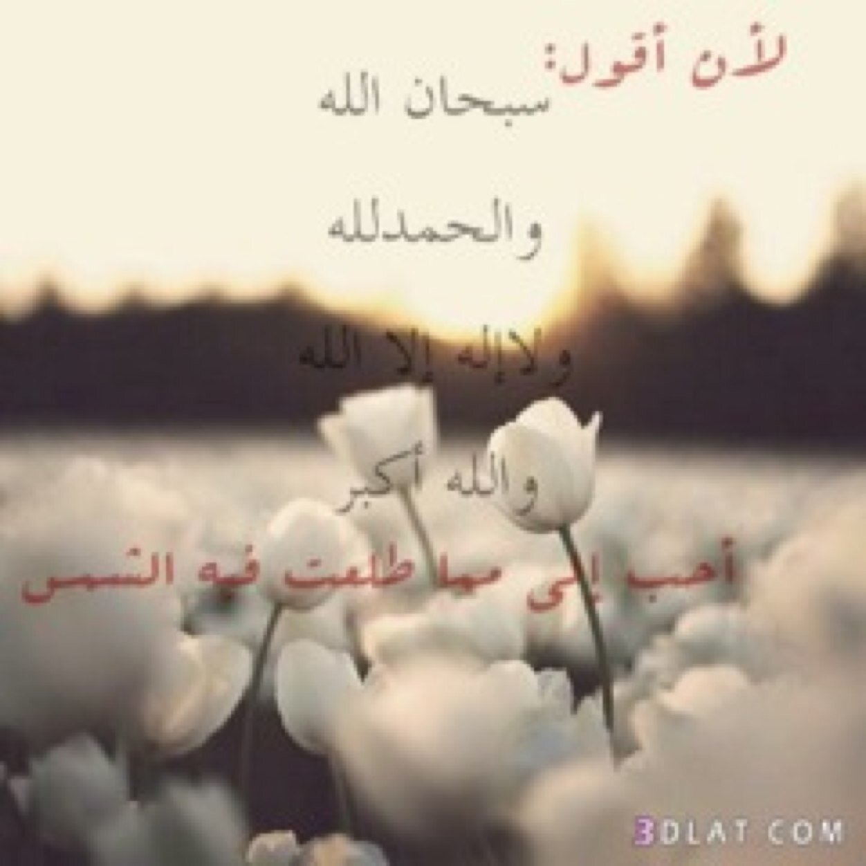 ‏‏استغفر لله الله اكبر سبحان الله والحمدلله لاحول ولاقوة الابالله