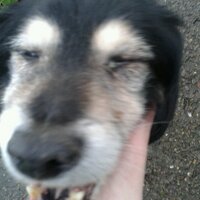 Paddy Griffiths (@paddygriff69) 's Twitter Profile