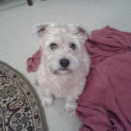 DoreenSnook's profile picture. 