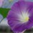 sumank1592's profile image