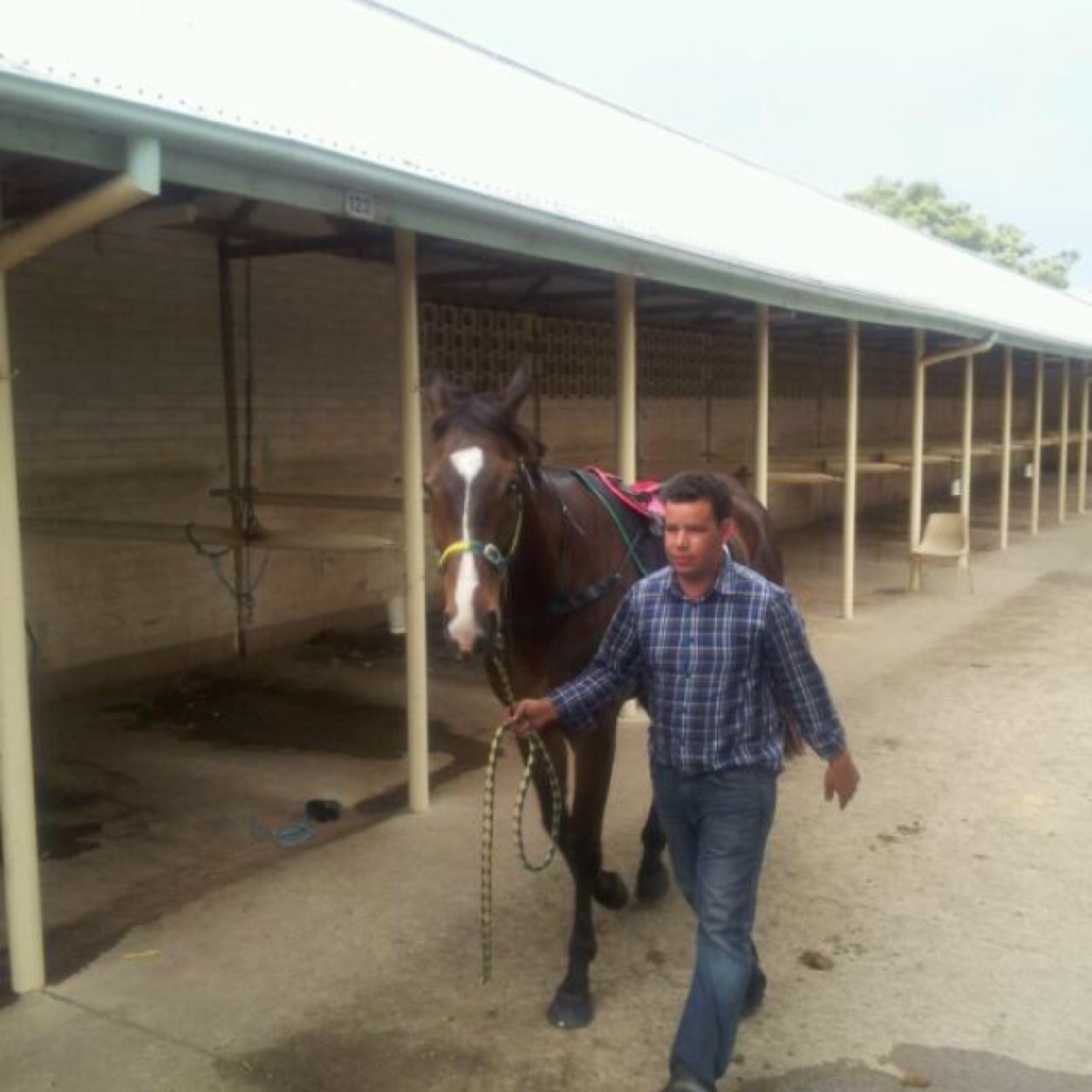 hardy_steven's profile picture. 