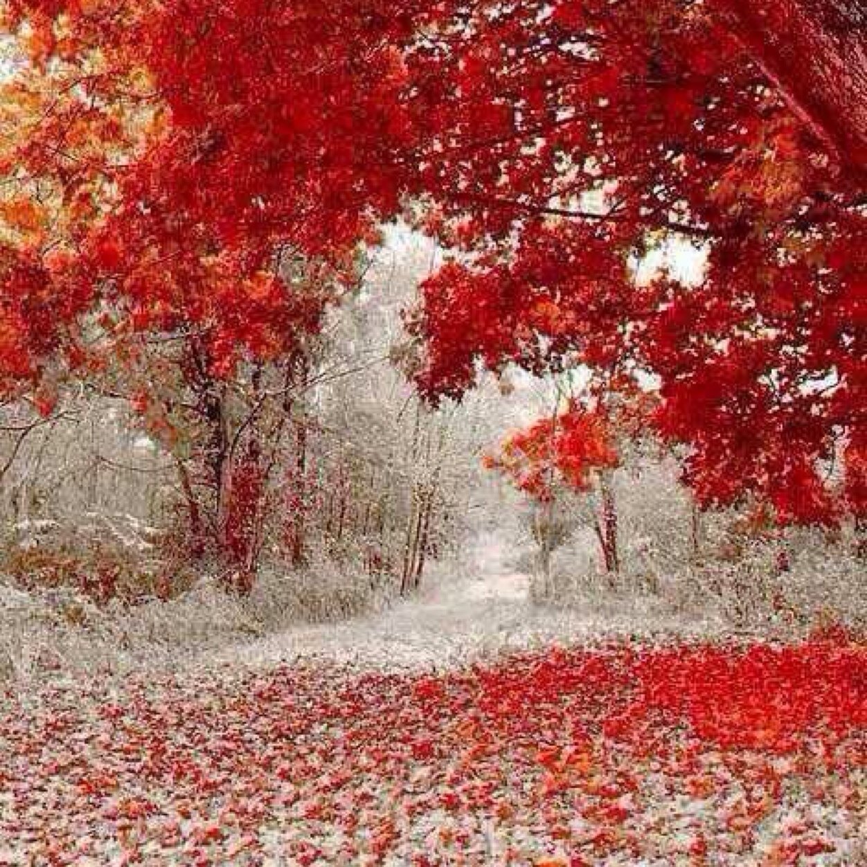 masood20141's profile picture. 