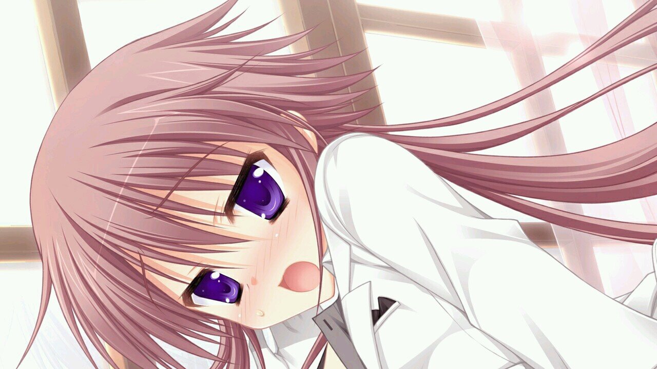 にわかエロゲーマー。　好きなメーカーはsagaplanets。未だにはつゆきさくらの綾が一番好き。綾のFDをあきらめきれない今日この頃。