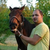 Baha Ttin (@bahahos) Twitter profile photo