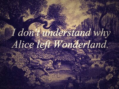 stephpsmith's profile picture. 