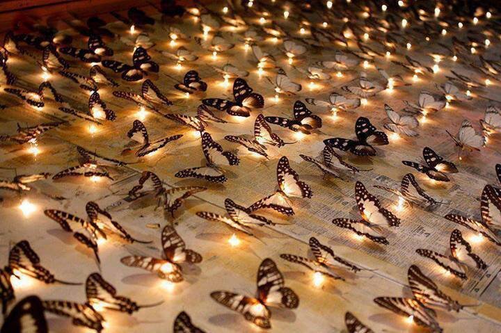 HmidaniA's profile picture. 