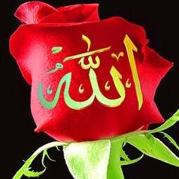 Alhamdulillah ala neematul Islam