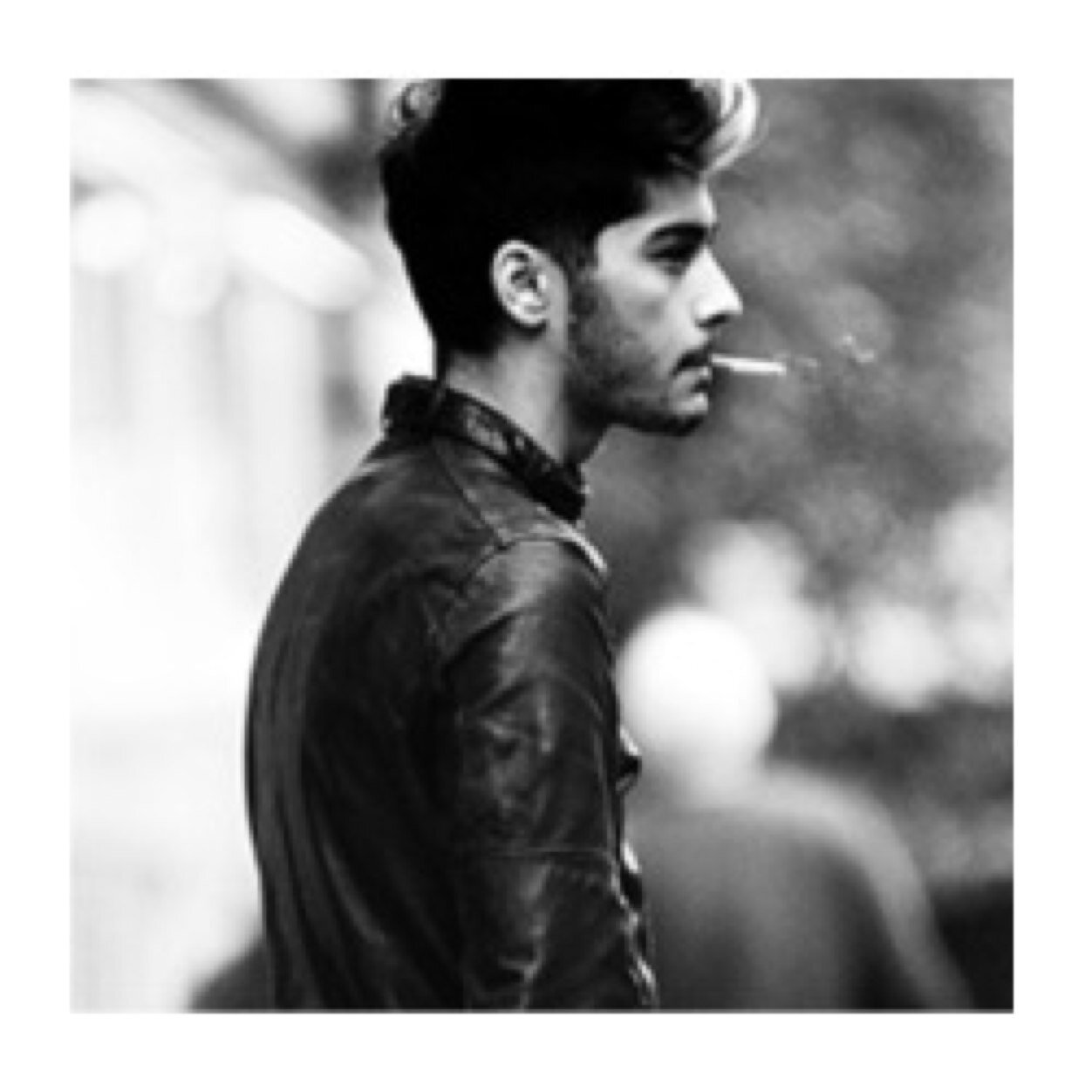 zayn malik • single and bisex.