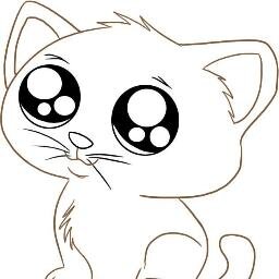 Follow me if you are an animal lover and think this animal is sooo cute     also if you Love One Direction