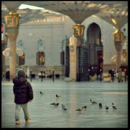 ‏احب الحوار والنقاش الهادئ