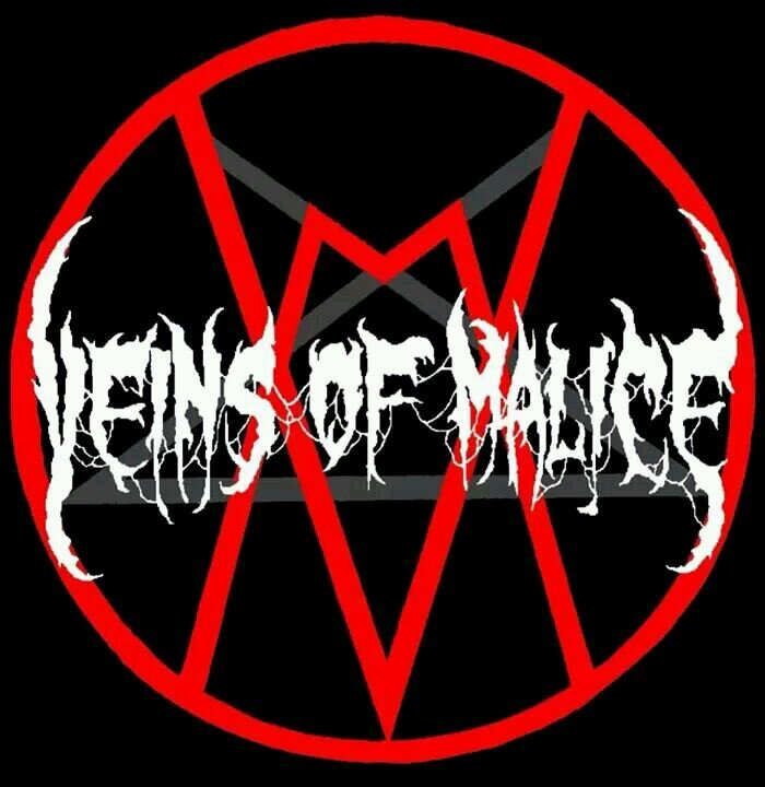 VeinsOfMalice's profile picture. We are a 5 piece Death Metal  Band, check our music out https://t.co/g8rE7qraIY
