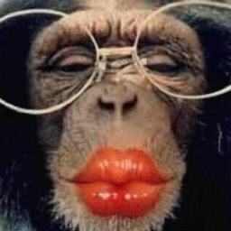 PhraseCulte1's profile picture. 