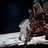 Conquest_Space's profile image