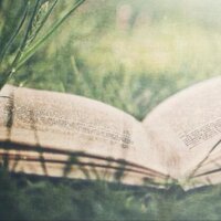 相信爱情 (@trustlove1314) 's Twitter Profile Photo