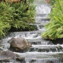 destiny sims - @destinysims21 - Twitter