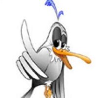 Mouetto (@mouettodcp) 's Twitter Profile