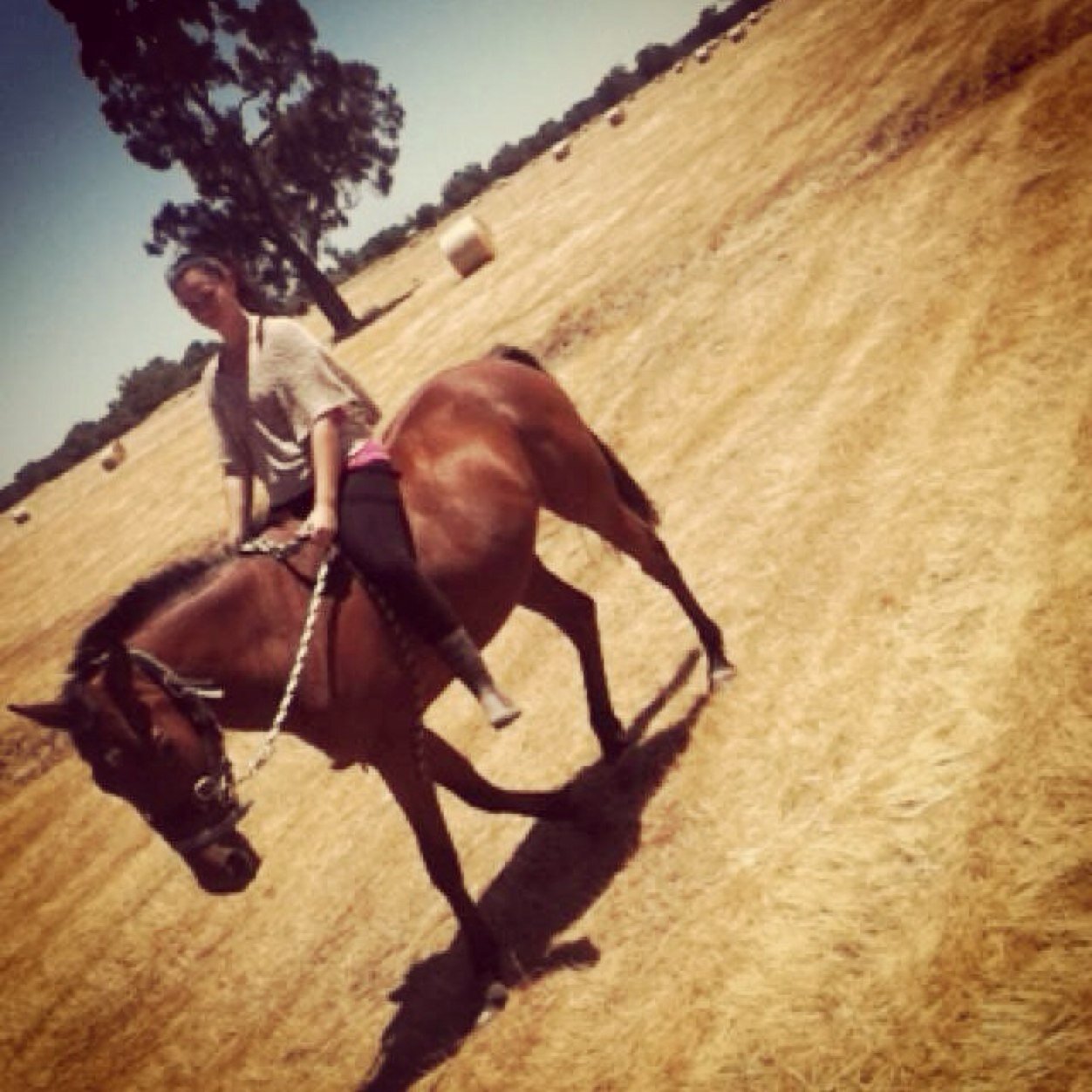 emi34's profile picture. Hi my names Em. I love to read my favourite books would have to be: Vampire Academy, The Vampire Diaries and The Hunger Games