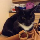 Jake Quinn - @QUINNJAKE66 - Twitter