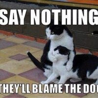 Michael john (@michaeljohn5003) 's Twitter Profile Photo