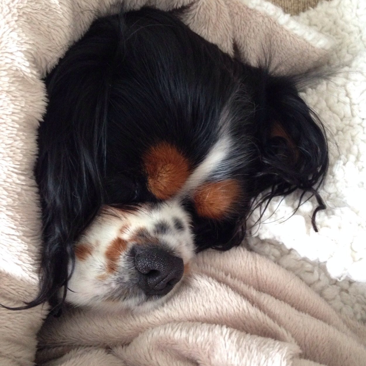 rhonlightfoot's profile picture. 